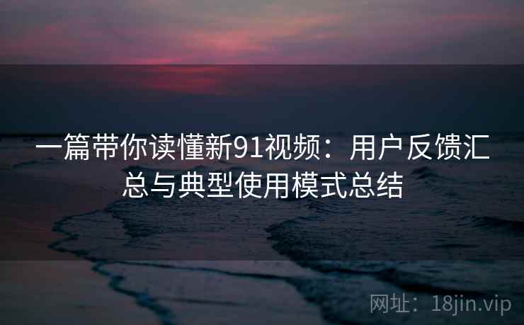 一篇带你读懂新91视频：用户反馈汇总与典型使用模式总结