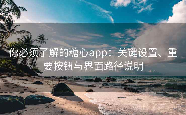 你必须了解的糖心app：关键设置、重要按钮与界面路径说明