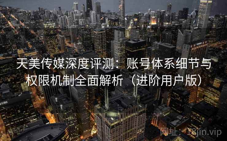 天美传媒深度评测：账号体系细节与权限机制全面解析（进阶用户版）