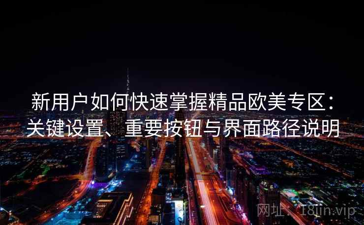 新用户如何快速掌握精品欧美专区：关键设置、重要按钮与界面路径说明