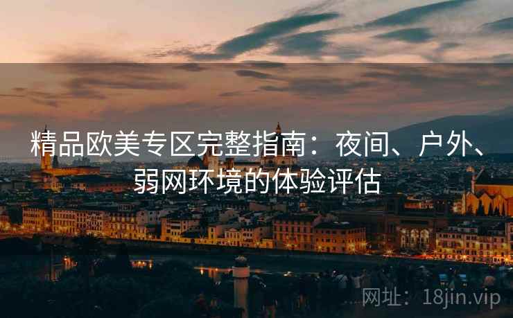 精品欧美专区完整指南：夜间、户外、弱网环境的体验评估