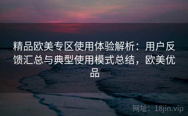精品欧美专区使用体验解析：用户反馈汇总与典型使用模式总结，欧美优品