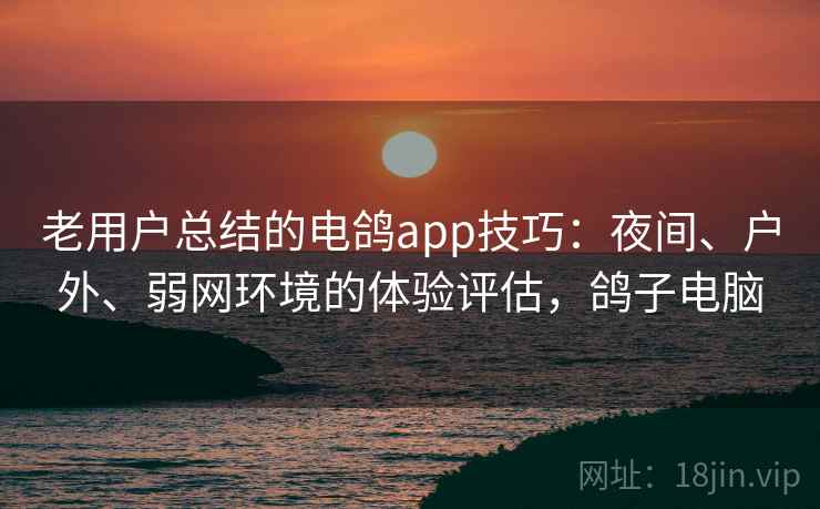 老用户总结的电鸽app技巧：夜间、户外、弱网环境的体验评估，鸽子电脑
