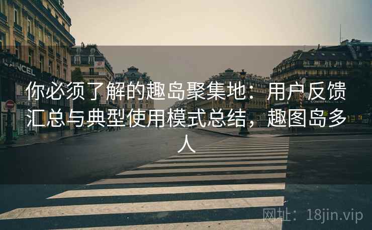 你必须了解的趣岛聚集地：用户反馈汇总与典型使用模式总结，趣图岛多人