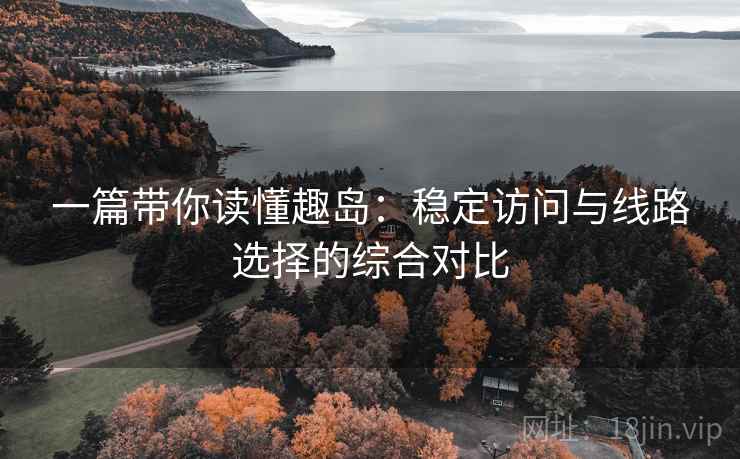 一篇带你读懂趣岛：稳定访问与线路选择的综合对比