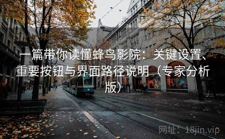 一篇带你读懂蜂鸟影院:关键设置、重要按钮与界面路径说明(专家分析版) 一篇带你读懂蜂鸟影院:关键设置、重要按钮与界面路径说明(专家分析版)