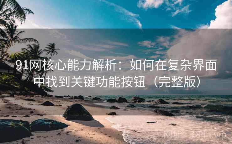 91网核心能力解析：如何在复杂界面中找到关键功能按钮（完整版）