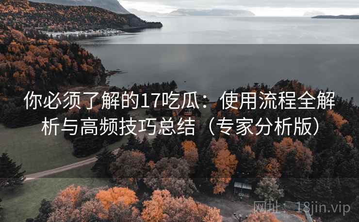 你必须了解的17吃瓜：使用流程全解析与高频技巧总结（专家分析版）