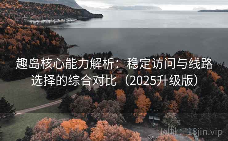 趣岛核心能力解析：稳定访问与线路选择的综合对比（2025升级版）