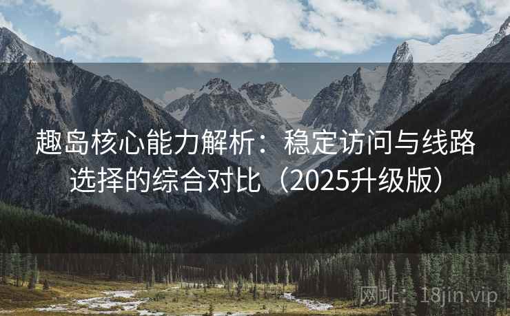 趣岛核心能力解析：稳定访问与线路选择的综合对比（2025升级版）