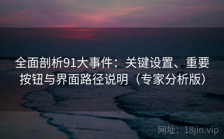 全面剖析91大事件：关键设置、重要按钮与界面路径说明（专家分析版）