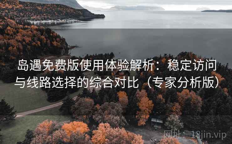 岛遇免费版使用体验解析：稳定访问与线路选择的综合对比（专家分析版）