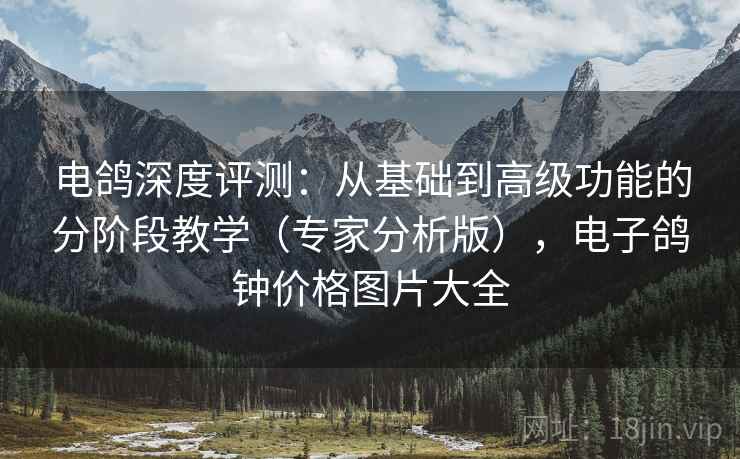 电鸽深度评测：从基础到高级功能的分阶段教学（专家分析版），电子鸽钟价格图片大全