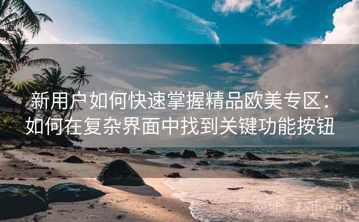 新用户如何快速掌握精品欧美专区：如何在复杂界面中找到关键功能按钮