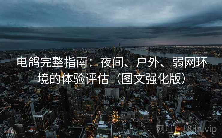 电鸽完整指南：夜间、户外、弱网环境的体验评估（图文强化版）