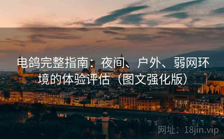 电鸽完整指南：夜间、户外、弱网环境的体验评估（图文强化版）