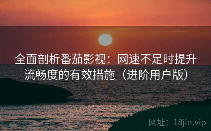 全面剖析番茄影视：网速不足时提升流畅度的有效措施（进阶用户版）