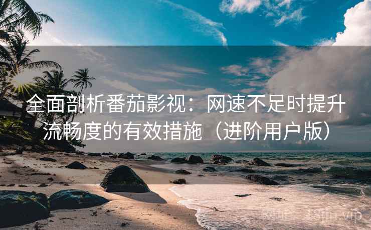 全面剖析番茄影视：网速不足时提升流畅度的有效措施（进阶用户版）