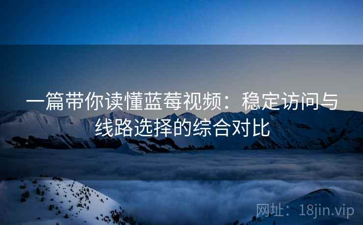 一篇带你读懂蓝莓视频：稳定访问与线路选择的综合对比