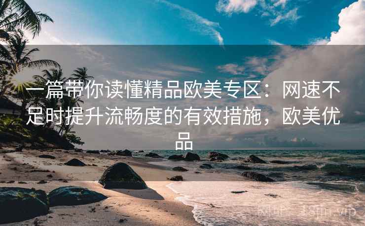 一篇带你读懂精品欧美专区：网速不足时提升流畅度的有效措施，欧美优品