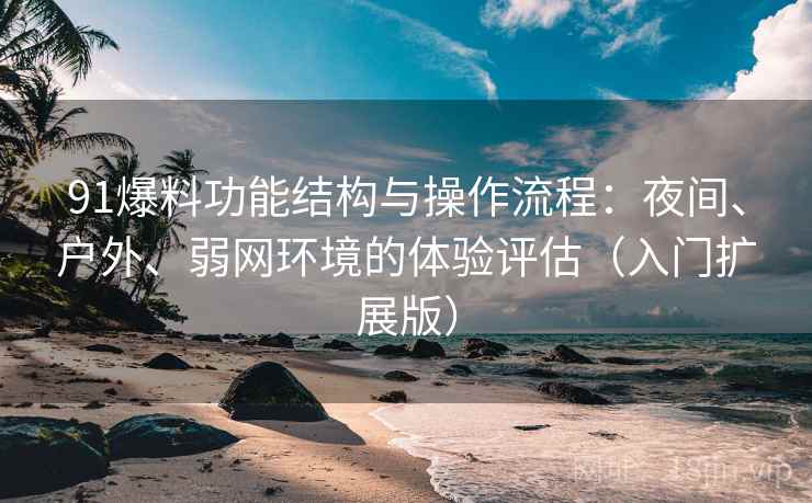 91爆料功能结构与操作流程：夜间、户外、弱网环境的体验评估（入门扩展版）