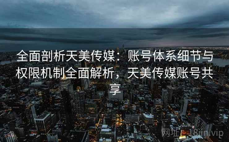 全面剖析天美传媒：账号体系细节与权限机制全面解析，天美传媒账号共享