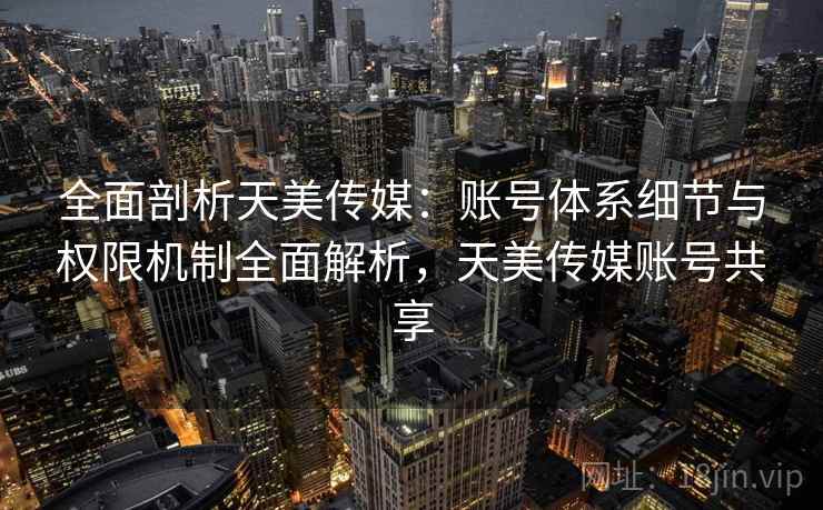 全面剖析天美传媒：账号体系细节与权限机制全面解析，天美传媒账号共享