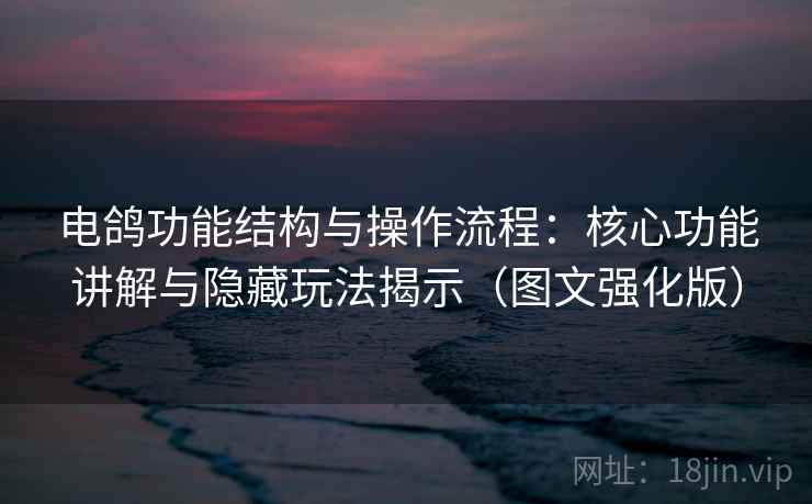 电鸽功能结构与操作流程：核心功能讲解与隐藏玩法揭示（图文强化版）