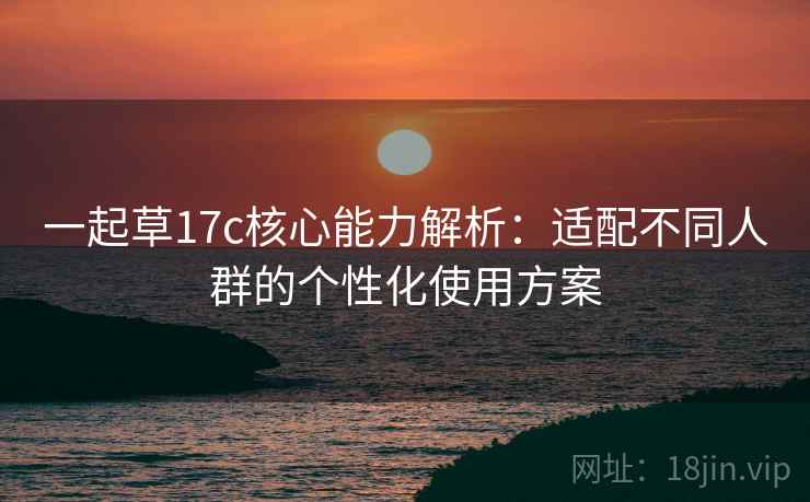 一起草17c核心能力解析：适配不同人群的个性化使用方案