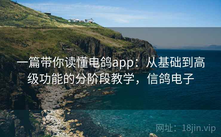 一篇带你读懂电鸽app：从基础到高级功能的分阶段教学，信鸽电子