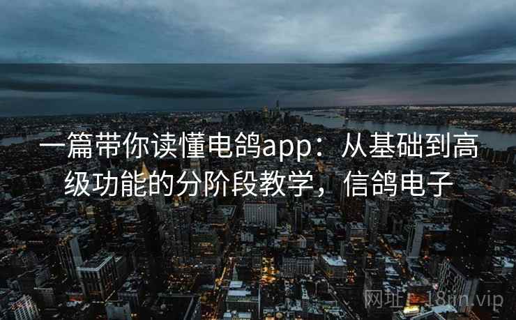 一篇带你读懂电鸽app：从基础到高级功能的分阶段教学，信鸽电子