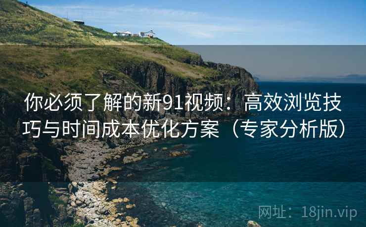 你必须了解的新91视频：高效浏览技巧与时间成本优化方案（专家分析版）