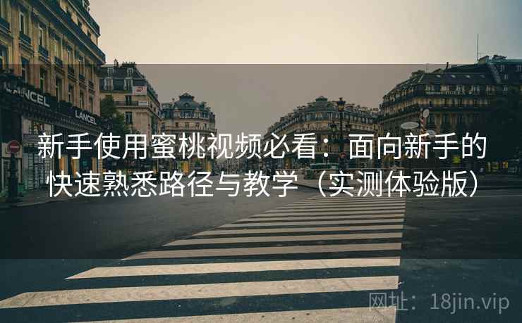 新手使用蜜桃视频必看：面向新手的快速熟悉路径与教学（实测体验版）