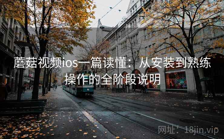 蘑菇视频ios一篇读懂：从安装到熟练操作的全阶段说明