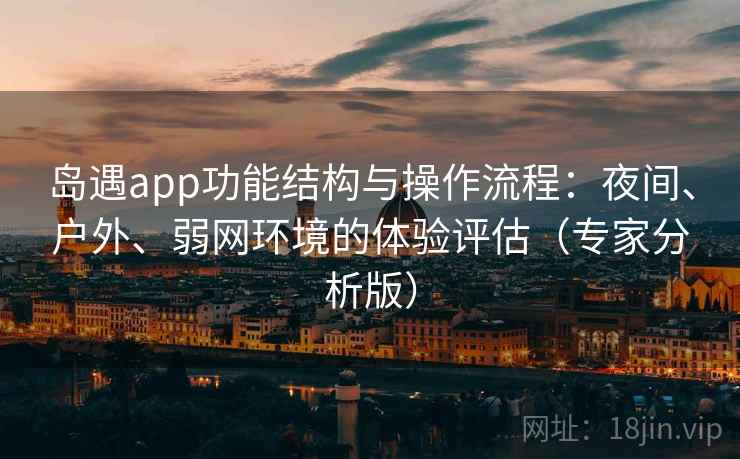 岛遇app功能结构与操作流程：夜间、户外、弱网环境的体验评估（专家分析版）