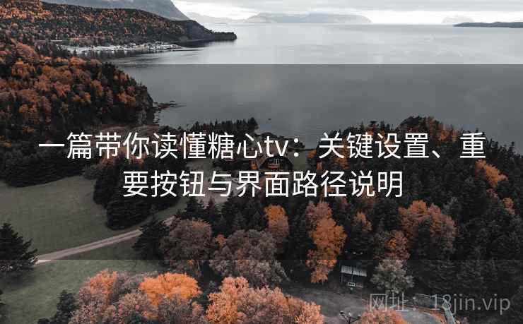 一篇带你读懂糖心tv：关键设置、重要按钮与界面路径说明