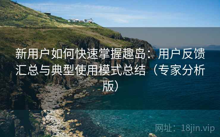 新用户如何快速掌握趣岛：用户反馈汇总与典型使用模式总结（专家分析版）